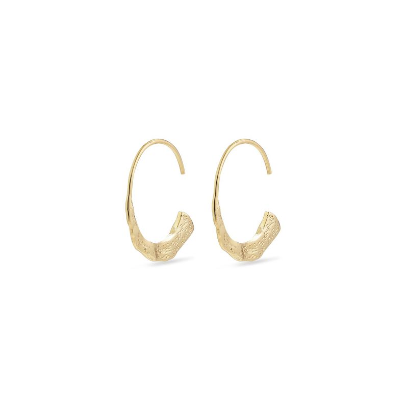 Pilgrim Valkyria Gold Plated Earrings image number 0